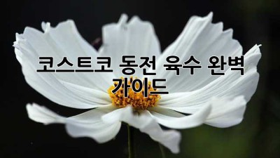 코스트코 동전 육수 완벽 가이드